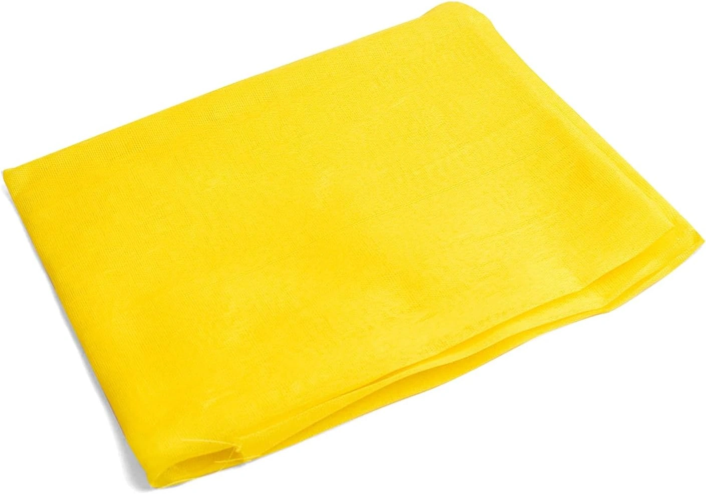 Shankh is used to pour Gangajal on Swami Samarths Murti for Abhishekam on 170th Swami Samarth Prakat Din in USA