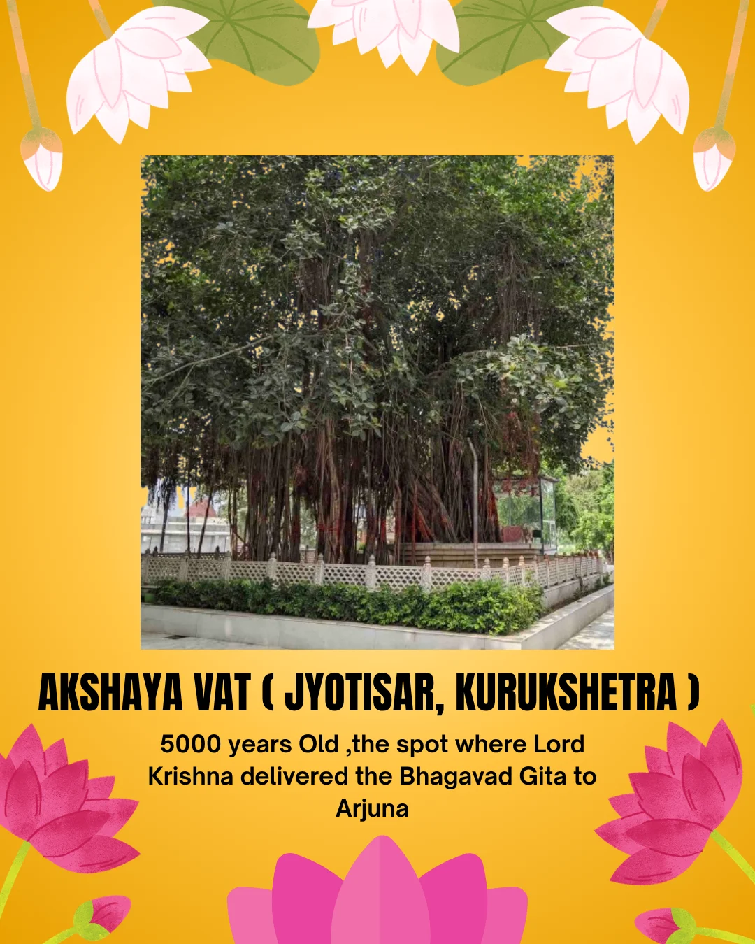 Akshaya Vat (Jyotisar, Kurukshetra) ,over 5,000 years old and is revered as the only remaining relic from the time of the Mahabharata war. It is believed to be the spot where Lord Krishna delivered the Bhagavad Gita to Arjuna